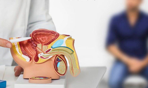 Andrology Treatment in Nagpur