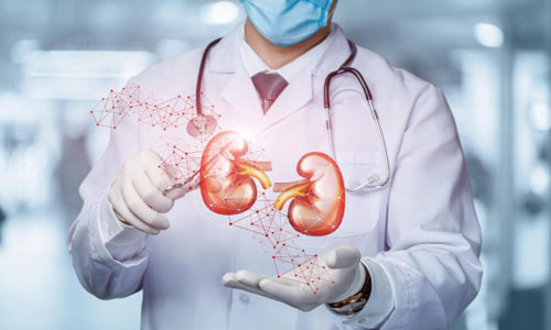 Kidney Transplant in Nagpur